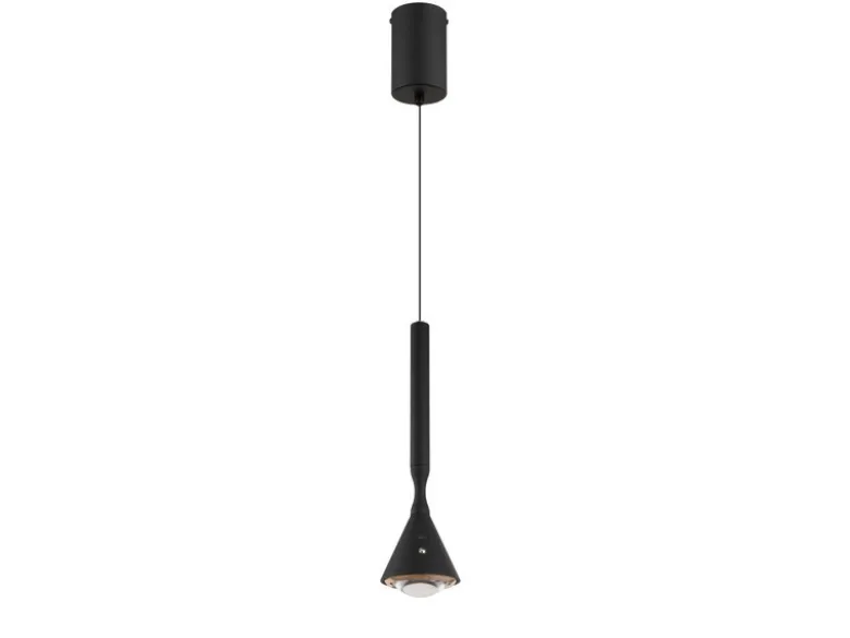 Akku Hängelampe Schwarz dimmbar & Tageslicht, höhenverstellbar, Ø 10cm