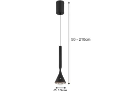 Akku Hängelampe Schwarz dimmbar & Tageslicht, höhenverstellbar, Ø 10cm