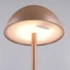 Akku LED Tischleuchte RICARDO kabellos für Innen & Außen, Coffee - 30cm klein