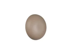 Akku Wandleuchte DAVEY aus Metall Beige per USB aufladbar, Ø 15,5cm