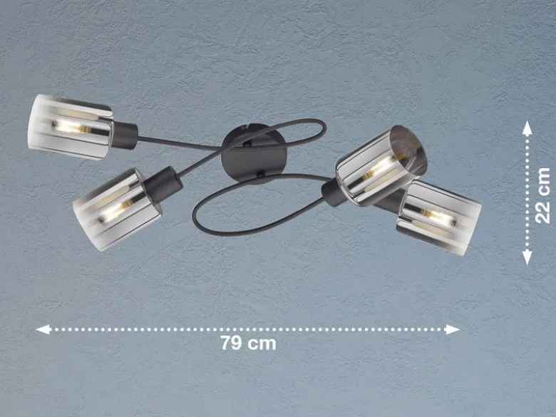 Deckenleuchte ISKA 4-flammig Schwarz mit Rauchglas, Breite 79cm