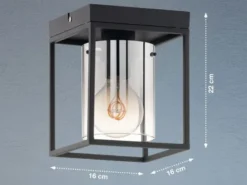 Deckenleuchte SAMU 1-flammig Schwarz mit Rauchglas, Quadrat 16cm