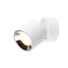 Deckenstrahler GUAYANA Weiß, Ø 9cm