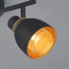 Deckenstrahler PUNCH 2-flammig Schwarz Gold mit Drahtgeflecht, Breite 28cm