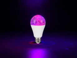 E27 Deko LED mit RGB Farbwechsel & Glitzereffekt - 2,5 Watt, Ø 6,5cm