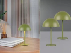 2er SET Akku Tischlampen Grün, Touch dimmbar, USB aufladbar, Höhe 21cm