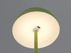 2er SET Akku Tischlampen Grün, Touch dimmbar, USB aufladbar, Höhe 21cm