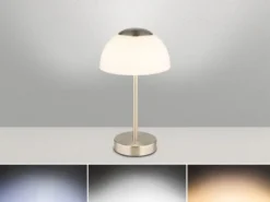 2er Set Dimmbare Akku Tischleuchten per USB aufladbar, Silber, Höhe 31cm