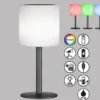 2er SET RGB Tischlampen mit Fernbedienung, per Solar & USB aufladbar, Höhe 30cm