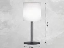 2er SET RGB Tischlampen mit Fernbedienung, per Solar & USB aufladbar, Höhe 30cm