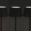 4in1 Akku Outdoor Stehleuchte POMEZIA mit RGB Farbwechsel, Schwarz, H:150cm