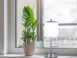 Kabellose Akku Tischleuchte RIVA Silber / Opalglas dimmbar, Höhe 34,5cm