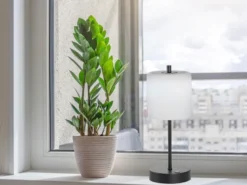 Kabellose Akku Tischleuchte RIVA Schwarz / Opalglas dimmbar, Höhe 34,5cm