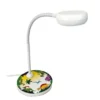 Kinder Schreibtischlampe DINO mit Flexarm, Höhe 43cm