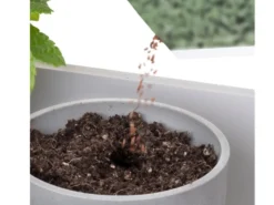 LED Aufzuchtlicht für Kräuter & Blumen Pflanzenleuchte Wachstumslampe