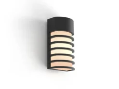 LED Außenwandleuchte Retro Design ALU Schwarz, IP54, 24x13cm