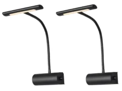 LED Bilderleuchte 2er Set Wandleuchte mit Drehdimmer, Schwarz