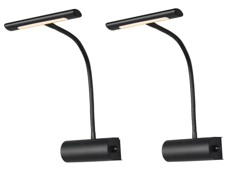 LED Bilderleuchte 2er Set Wandleuchte mit Drehdimmer, Schwarz