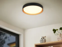 LED Deckenleuchte FELIS mit Fernbedienung & Tageslicht, Schwarz Gold Ø 40cm