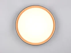 LED Deckenleuchte FELIS mit Fernbedienung & Tageslicht, Schwarz Gold Ø 40cm