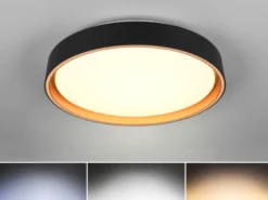 LED Deckenleuchte FELIS mit Fernbedienung & Tageslicht, Schwarz Gold Ø 40cm