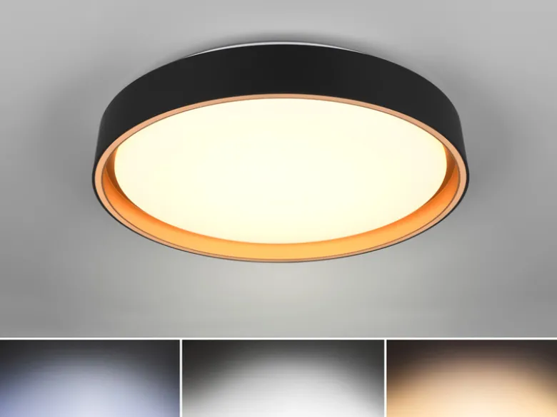 LED Deckenleuchte FELIS mit Fernbedienung & Tageslicht, Schwarz Gold Ø 40cm