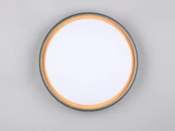 LED Deckenleuchte FELIS mit Fernbedienung & Tageslicht, Schwarz Gold Ø 40cm