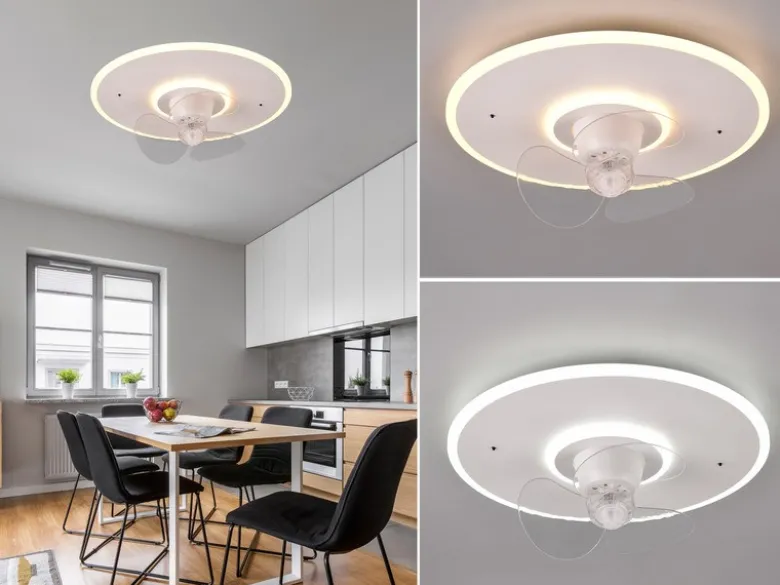 LED Deckenleuchte mit Ventilator NYBRO Fernbedienung Lichtfarbe Wechsel, Ø 50cm