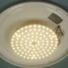 LED-Deckenleuchte rund, Glas satiniert mit Klarrand, Dekorring Chrom, Ø 40cm