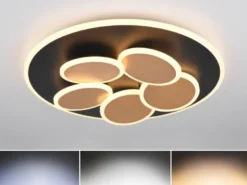 LED Deckenleuchte Schwarz Gold dimmbar mit Fernbedienung & Tageslicht Ø 49cm