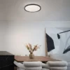 LED Deckenleuchte SOLIT flach dimmbar Fernbedienung, RGB, Schwarz, Ø 39cm