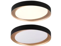 LED Deckenleuchte ZETA Schwarz Gold mit Fernbedienung dimmbar & Tageslicht Ø48cm