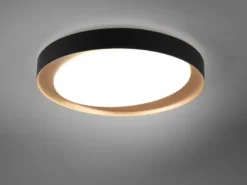 LED Deckenleuchte ZETA Schwarz Gold mit Fernbedienung dimmbar & Tageslicht Ø48cm