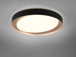 LED Deckenleuchte ZETA Schwarz Gold mit Fernbedienung dimmbar & Tageslicht Ø48cm