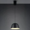 LED Pendelleuchte 1-flammig aus Metall höhenverstellbar in Schwarz, Ø 30cm