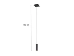 LED Pendelleuchte 1-flammig Metall in Schwarz matt, Ø 12cm