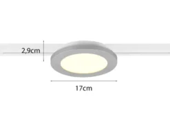 LED Spot CAMILLUS Grau Ø 17cm für DUOline Schienensystem