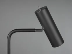 LED Stehlampe in Schwarz matt, Spot schwenkbar, Höhe 151cm