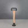 Moderne Wegeleuchte FRASER in Holzoptik & Anthrazit, Höhe 54cm