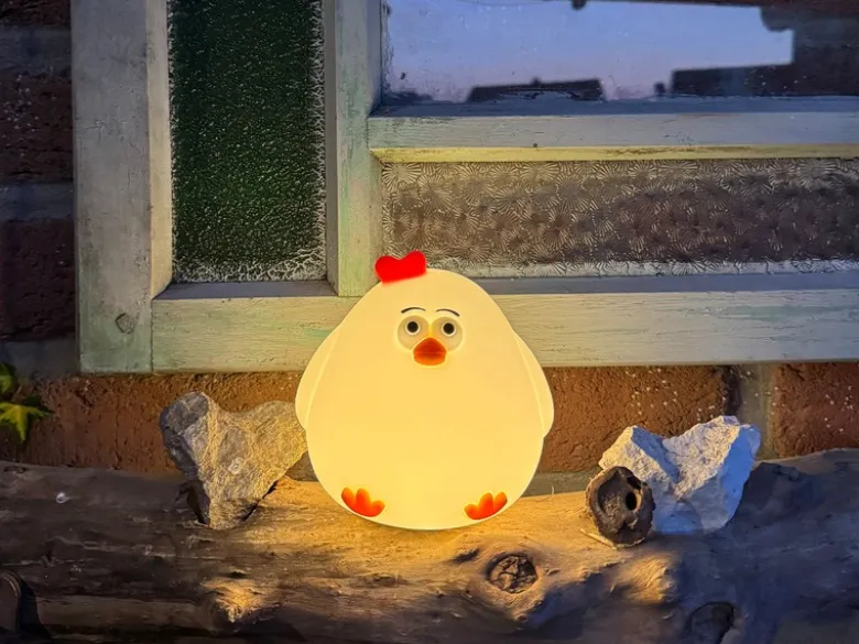 Nachtlicht PAULA dimmbar, per USB aufladbar, mit Timer, Höhe 11cm