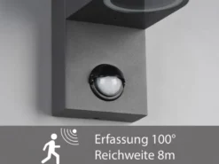 Runde Außenwandleuchte ROYA Downlight mit Bewegungsmelder, Anthrazit, Höhe 15cm
