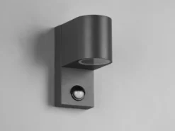Runde Außenwandleuchte ROYA Downlight mit Bewegungsmelder, Anthrazit, Höhe 15cm