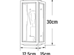 Schmale Außenwandlaterne CARPI Schwarz-Messing mit Klarglas, Höhe 30cm