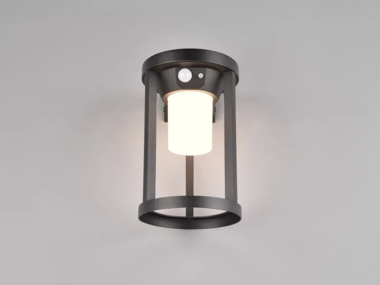 Solar Außenwandleuchte CARMO mit Bewegungsmelder & Dauerlicht, H. 20cm