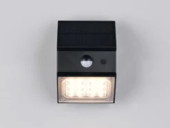 Solar Wandleuchte TALCA außen mit Bewegungsmelder, Licht drehbar, IP65, B: 9cm