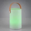 Wiederaufladbare LED Tischleuchte 2er SET Farbwechsel, Akku, USB Höhe 20cm